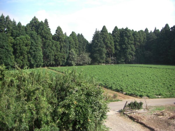 目の前は広々とした風景です